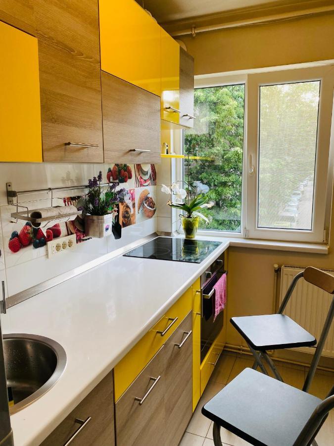 City Center Apartment Тимишоара Экстерьер фото