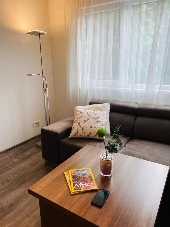 City Center Apartment Тимишоара Экстерьер фото