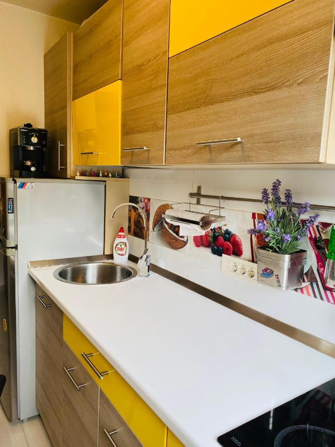 City Center Apartment Тимишоара Экстерьер фото
